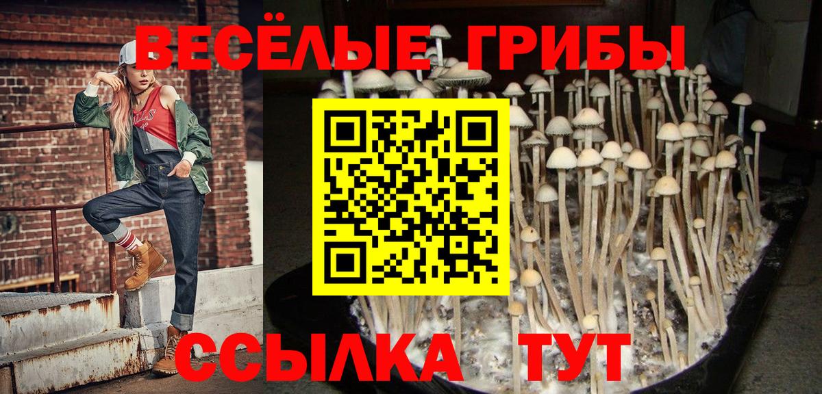 Псилоцибиновые грибы мицелий Коряжма