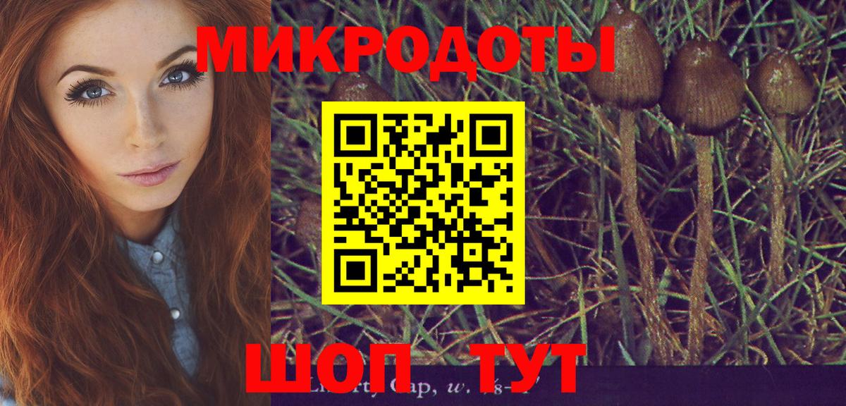 Псилоцибиновые грибы Magic Shrooms  магазин    Вход с VPN  Коряжма  Псилоцибиновые грибы Psilocybine cubensis 